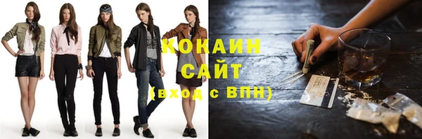 крисы Алзамай