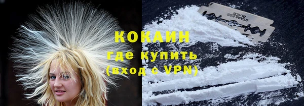крисы Алзамай