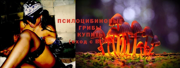 крисы Алзамай