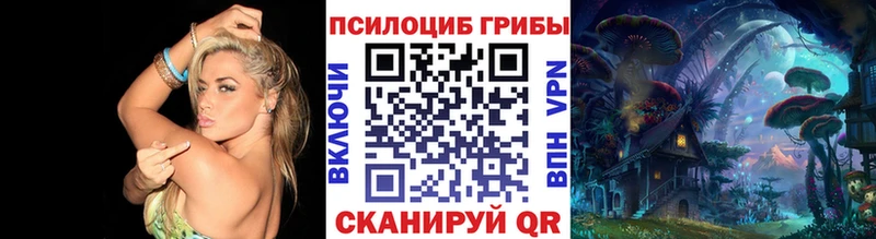 OMG онион  Усть-Лабинск  Псилоцибиновые грибы Magic Shrooms 